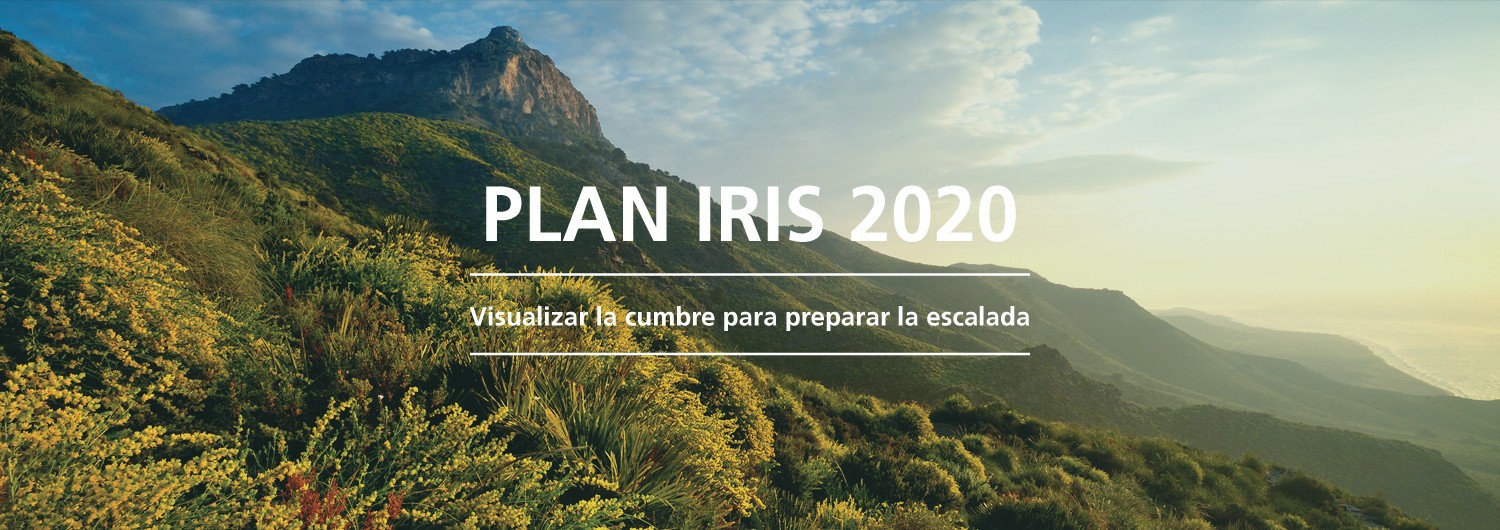 Plan IRIS 2020